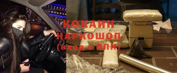 шишки Алзамай