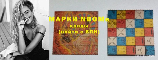 шишки Алзамай