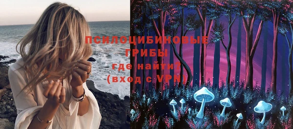 шишки Алзамай