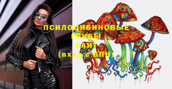 шишки Алзамай