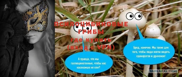 шишки Алзамай