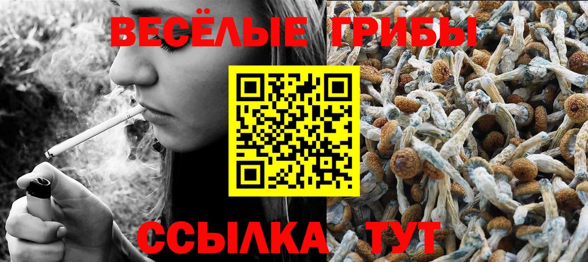 Псилоцибиновые грибы прущие грибы  Псилоцибиновые грибы GOLDEN TEACHER  наркошоп  Вход с VPN  Усть-Лабинск 
